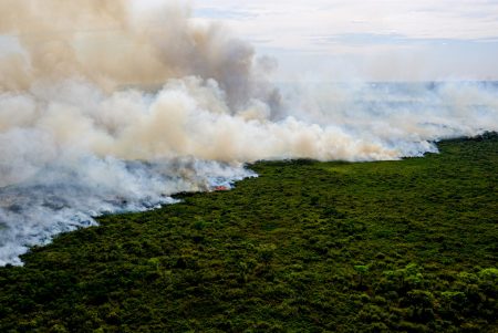 incendie Pantanal aout 2020
